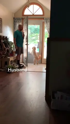 He finally pulled off scaring me AND videoing it 🤣 @mrzog81 #screaminggoat #BenefitOfBrows #scaredtodeath #sofunny #almostpeedpants😂 #BillboardNXT