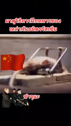 #ปูตินที่รัก #มีพันธมิตรที่ดีประเทศก็เจริญ #อย่าปิดการมองเห็นผม #ผู้นำโลกตัวจริง