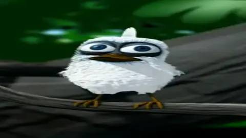 #саламалейкум #птица #рекомендации