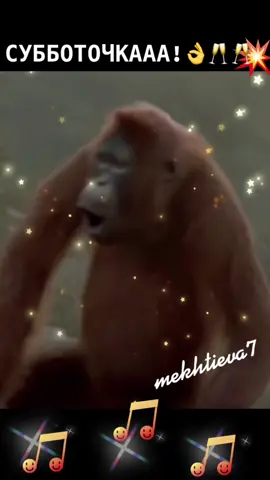 #бодрогоденечка❤️❤️❤️✌️