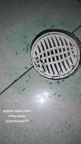 Ja taquei trilhões de produtos 😫😫      #fy  #fyp   #tiktok     #inseto  #nojo