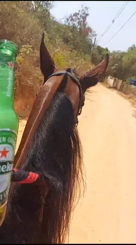 #sabado #cavalgada #cavalgadas #heinekenmepatrocina #cavalos #meidomato #raiz #modao #pecuaria #agro10brasil #agro #fimdesemana # #mangalargamarchador
