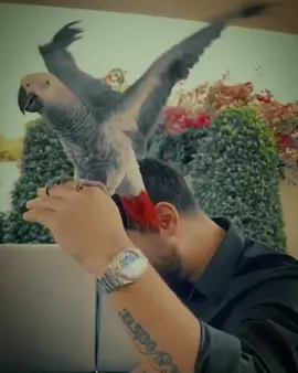 #الامارات_العربية_المتحده🇦🇪 #العراق🇮🇶 #سورية🇸🇾 #اسطنبول #ازمير_تركيا