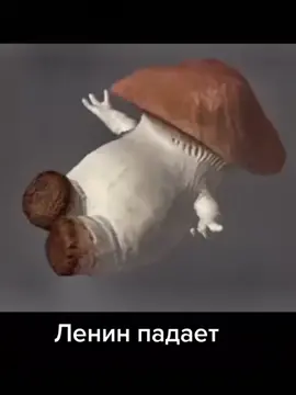#ленин #гриб