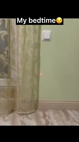 my first video🤗 #fyp #foryou #foryoupage #trending #trend #viral #firstvideo  #cat #funny #night #foryourpage #like #laserpointer #😂😂😂 #sleep