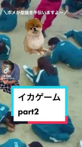 ちゃちゃまるのせいで、、？　#動物コレクション #イカゲーム #squidgame