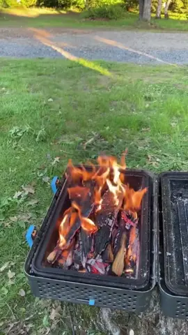 Grilled Rainbow Trout over fire 🔥 #rainbowtrout #grilledtrout #wildernesscooking #outdoorcooking