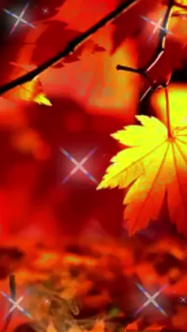 #С добрым утром вторника!#