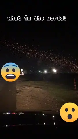 #ufo #why #wth #amazing #getherealready #good