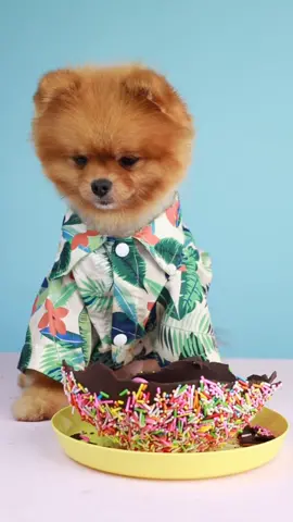 #fypシ #foryou #foodtiktok #cute #pet #dogchef
