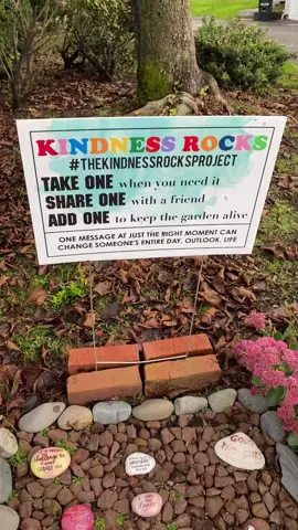 It’s been a while…rock garden update!💗 #rockgarden #kindnessrocks #rockart #kindnessrocksproject #spreadkindness #bekind