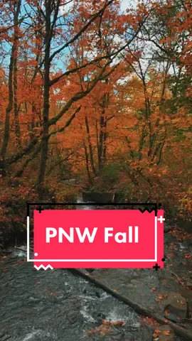 PNW Fall…it’s coming…are you ready? #NissanShowUp #SoFiMoneyMoves #TakeTheDayOffChallenge #fall #hikingadventures #hikertok