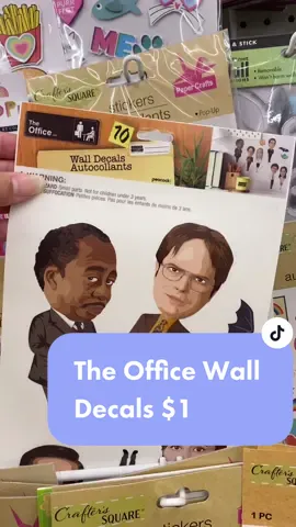 #dollartree #dollartreefinds #theoffice #theofficetiktok #SoFiMoneyMoves #dollartreeshopwithme