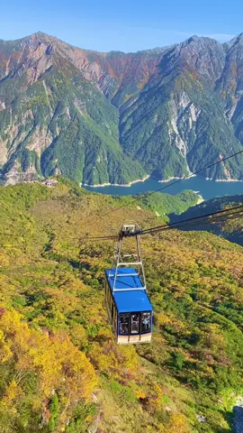 Autumn in Japan has just begun!🍁日本の秋がはじまりました。#富山#立山黒部アルペンルート#Toyama #Japan
