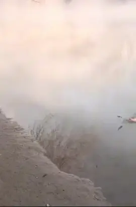 А на рыбалке хорошо… природа… мясо … 🤟😁👍 #рыбалка #осень #рыба