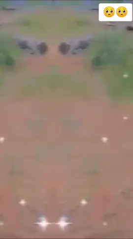 mong được 10 ❤️🥺🥺