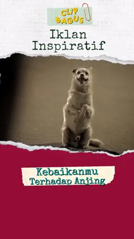 Kebaikanmu terhadap anjing//Iklan Inspiratif #iklanlucu #lucu_ngakak #inspiratifkehidupan #motivation