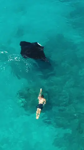 swimming with mantas rays while exploring a remote coastline on my paddle board