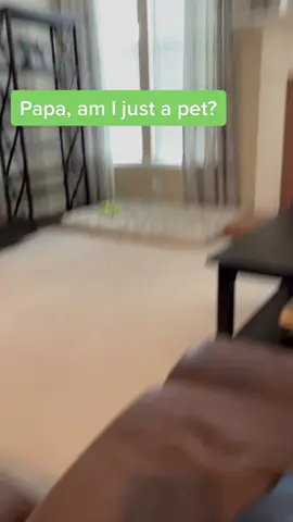 My BFF #BestFriends #foryou #dogsofttiktok #foryourpage #dogs #rescuedog #pitbull #fyp #pitbulls #pitties #doggo #foryoupage