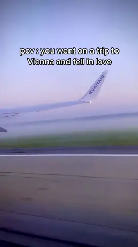 and I'm pretty sure that you are that love of mine #fyp #vienna