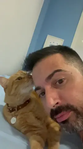 Estaba el señor #DonGato