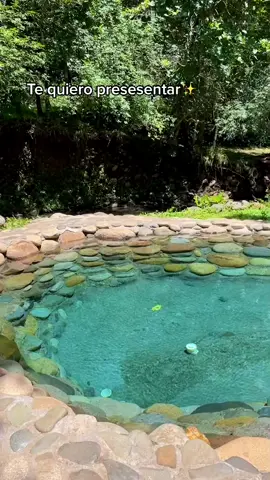 Qué buena vaina @weloveboquetepanama #fypシ #panamatiktok