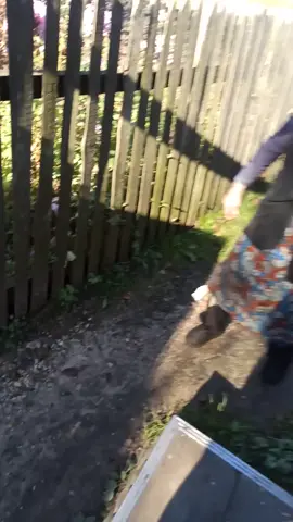 #бабулятиктока🚀💞 #тикерытокеры #врекомендациипж