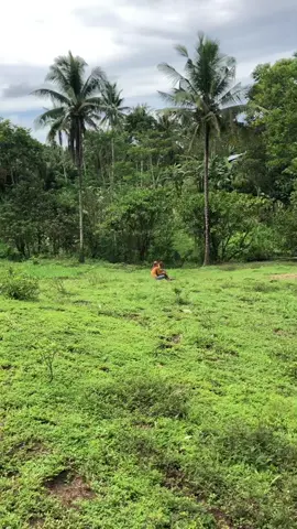 Nag dula pa nga😂 Catch me live on bigo 8-9Pm | bigo Id:jenromamawi | click link on my bio to download ❤️@motherb_official