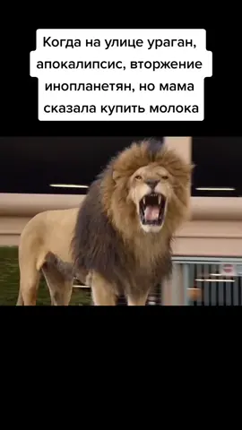 ориг в телеге (в описании профиля) #скала