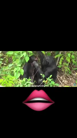 Butiks qildirgan qizlarni belgilaymiz 👄👄👄👄🤣🤣🤣😂😂😂