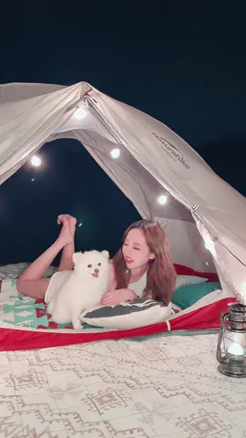 滿眼都是你🤍🐶 IG: ltmimi