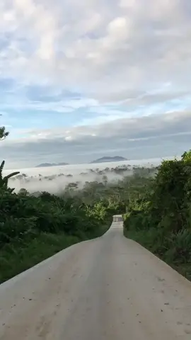 Kampung lakan Bilem, Kecamatan Nyuatan, Kutai Barat 🇲🇨🇲🇨📹 @marianii______ #kalimantan #kaltim #kutaibarat