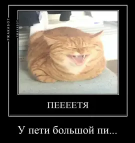 #оливиястарбрайн #рекоминдации #брайн_мапс #тигра #бендер хпхахаахахахаха ок.