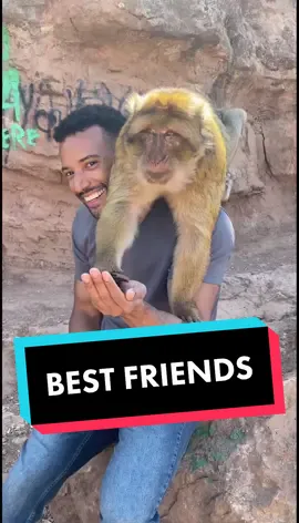 YOU CAN’T SIT WITH US #twinnem #bestfriend #morocco #traveltiktok #travelblogger #wanderlust #cuteanimals #animaltiktok #adventuretravel #Hiking