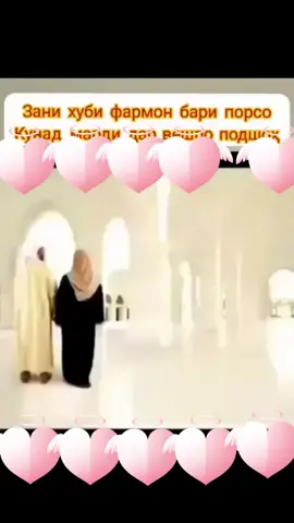 Зани хуб