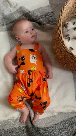 #ad Learned taking kitten and baby pictures is not so easy. These cute outfits are from @PatPatOfficial. Use my code pearls15 to save 15% #patpat