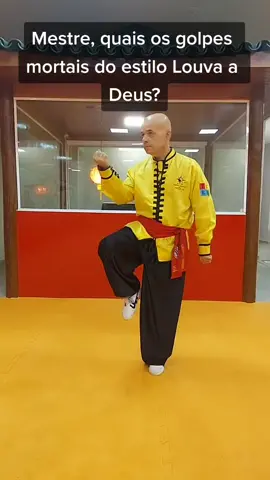 TSKF Kung Fu #tskf #kungfu #wushu #louvaadeus #prayingmantis  #artesmarciais #shaolin #atividadefisica  #saude #humor #meme #reflexaododia