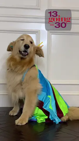 My dog is, like, totally obsessed. 🙄