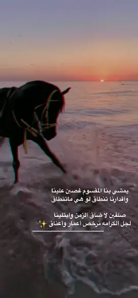 لجل الكرامه نرخص أعمار وأعناق✨.                         #حائل #شمر #الطنايا #السناعيس #شعر #حايلندا #الشتاء #اكسبلور #ترند #السعودية