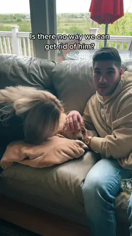 True story. #fyp #foryoupage #dogsofttiktok