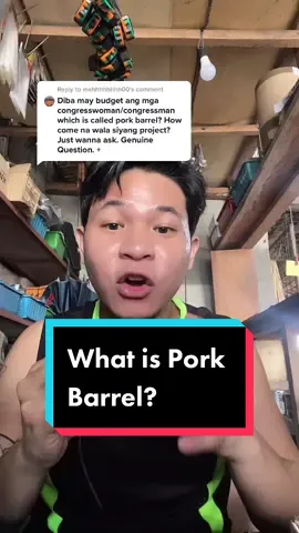 Reply to @mehhhhhhhh00  What is pork barrel? and more. #LearnOnTikTok #LetLeniLead