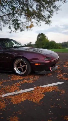 Just want to thank @s197_wick @tiltymiata @smilesback.miata @cj_crouton @steezymiata @suckonmycock @mikeeckphoto55 and everyone else for being apart of my life and being apart of the process of smalboi miata🖤 #MakeItCinematic #IKnowWhatYouDid #miatatok #fypシ #miata #jdm #foryou #miatatoktok #cars