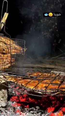 شوينا 😁❤️#ستوريات #شوي #نار #اكل #ديالى #المقدادية #بعقوبه #شهربان #العراق #مشاهير #اكسبلور #fypシ #viral #متابعة #تيك_توك #ترند #شباب #بنات #صعدو