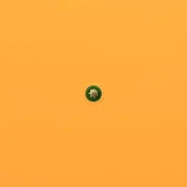 #thepixeljunk #3d #3dfordesigners #renderzone #renderoftheday #render #rsa_graphics #artoninstagram #abstract #adobe #mdcommunity #mgcollective #xuxoe