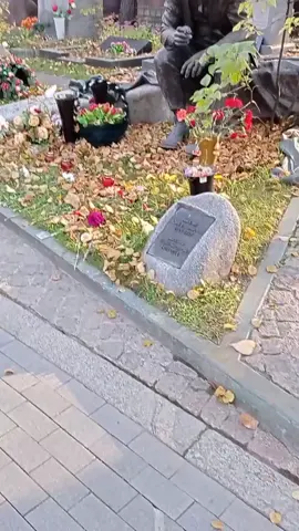 Могила Юрия Никулина на Новодевичьем кладбище #помосквесоксаной #новодевичьесоксаной #новодевичьекладбище #память #памятник #звездынеумирают