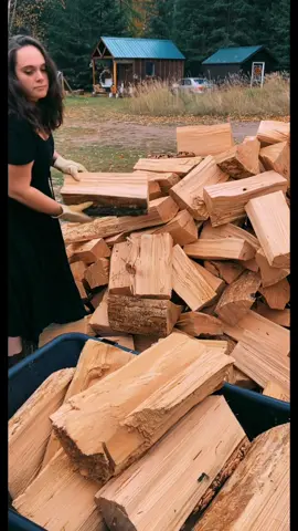 LIVING OFFGRID - Gentle Day🤍 #MakeItCinematic #IKnowWhatYouDid #offgrid #offgridliving #cottage #cottagecore #cabin #cabincore #homestead #homesteading #adventure #fall #autumn #disconnected #natural #aesthetic #Lifestyle #fyp #fypシ #foryou #foryoupage