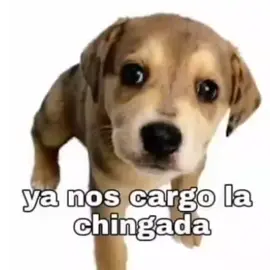 Ya nos cargo la chingada 😨😱