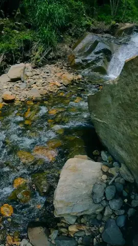 Enjoy this view 🏞 #fypシ #intinature #waterfall