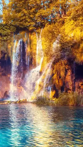 #врекомендации #реки #рекомендации #этоосень #смотрикакаякрасота #смотрикакая #тикток #баста #бастаосень