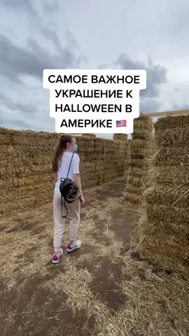 А ты празднуешь Halloween? 👻🎃 #нашивсша #жизньвамерике #жизньвсша🇺🇸 #всепросша #переездвсша #переездвамерику #halloween